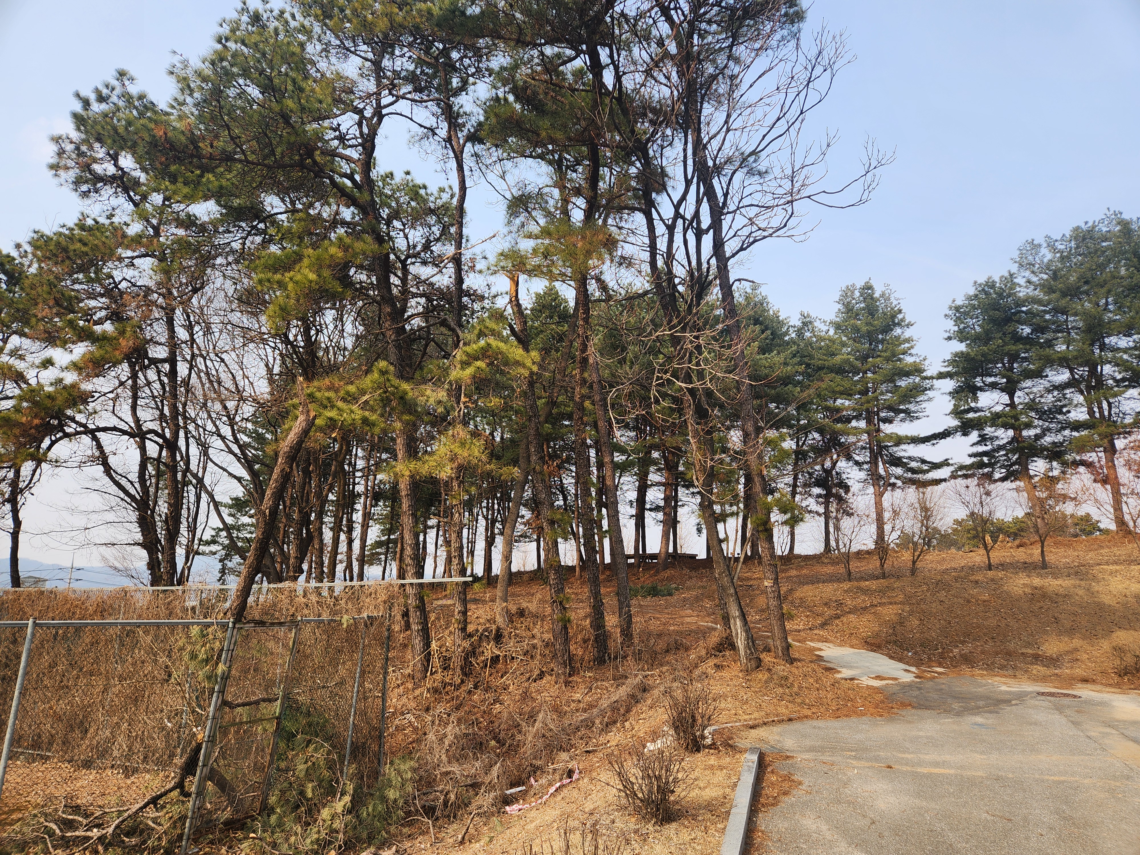 대표이미지