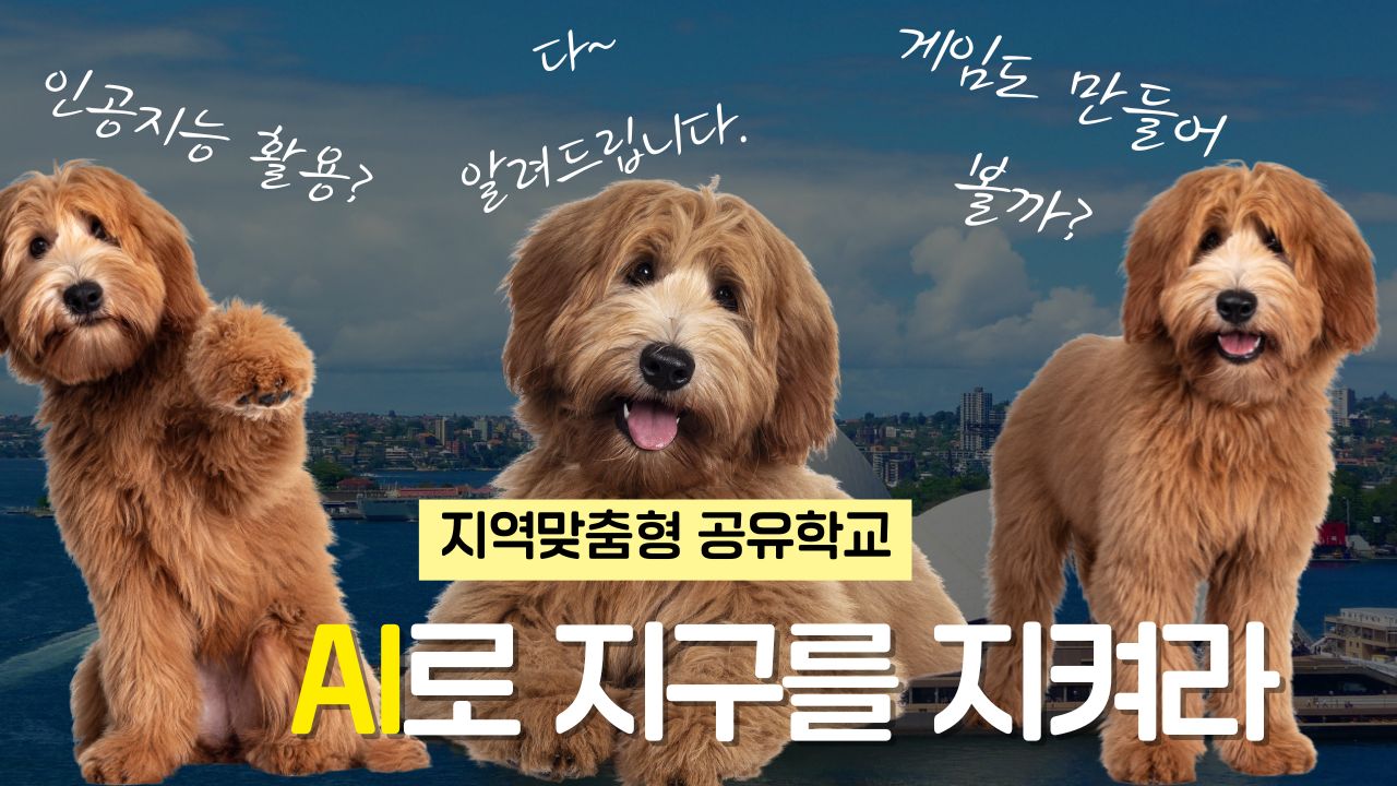대표이미지